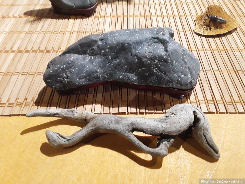 А вы знаете, где сейчас цветут орхидеи