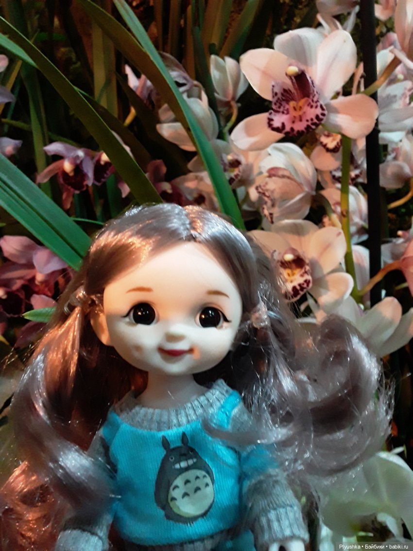 А вы знаете, где сейчас цветут орхидеи (фото 6)