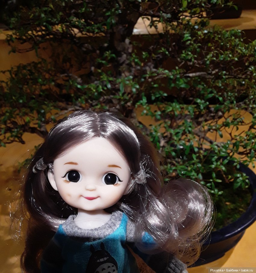 А вы знаете, где сейчас цветут орхидеи