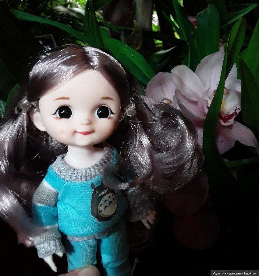 А вы знаете, где сейчас цветут орхидеи (фото 2)