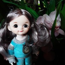 А вы знаете, где сейчас цветут орхидеи?