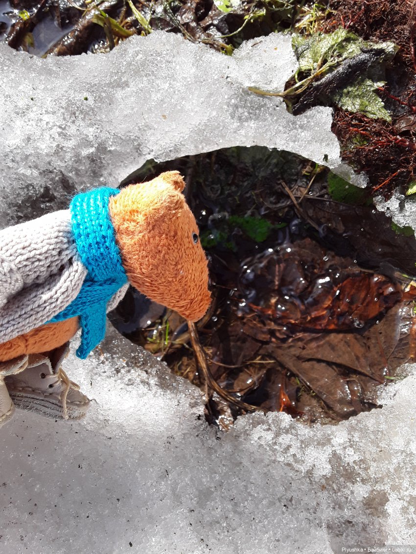 Весна на даче — Домашние фото авторских игрушек: Тедди (фото 5)