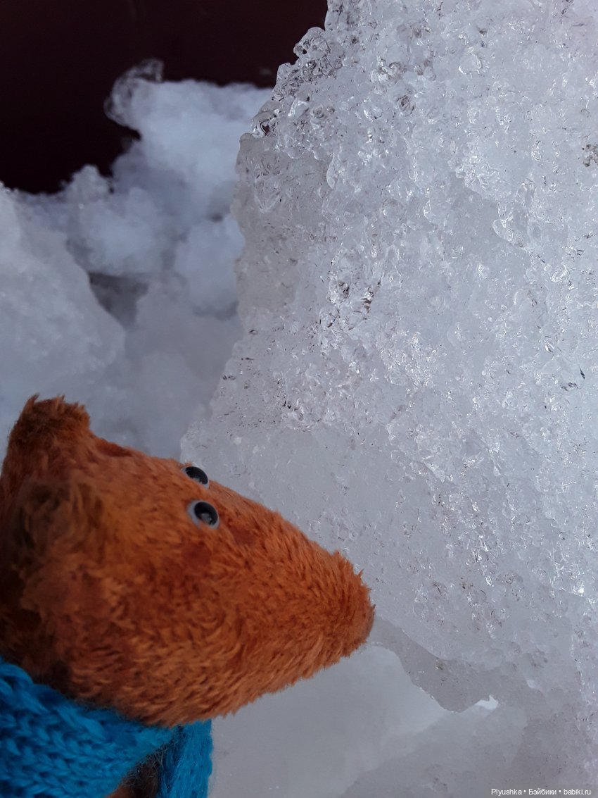 Весна на даче — Домашние фото авторских игрушек: Тедди