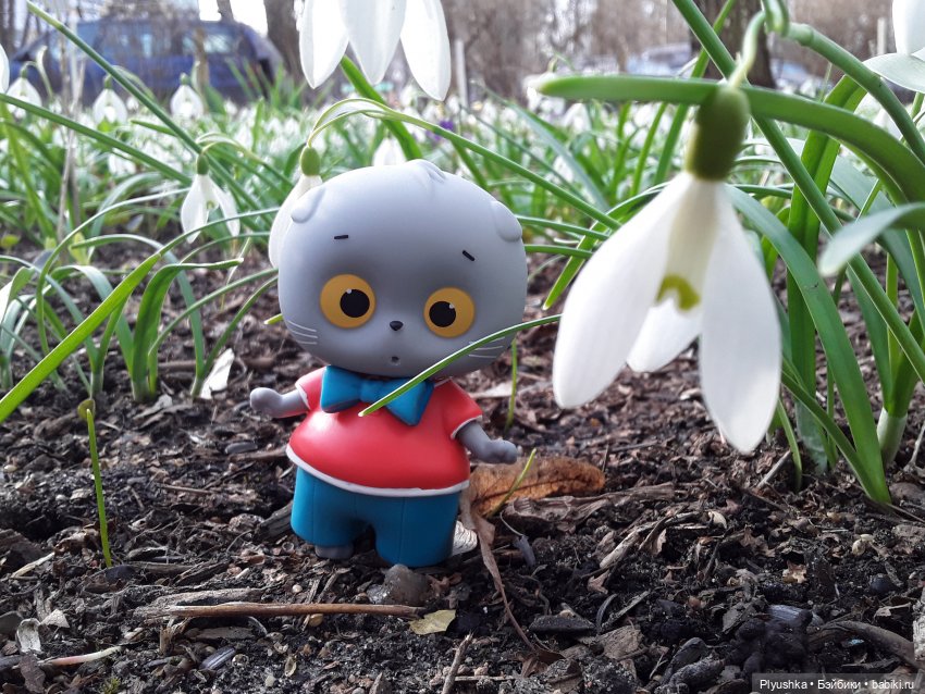 Басик и весна — Кот Басик (фото 9)