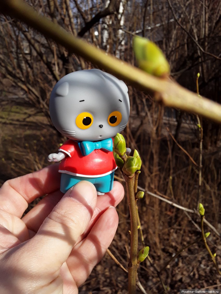 Басик и весна — Кот Басик