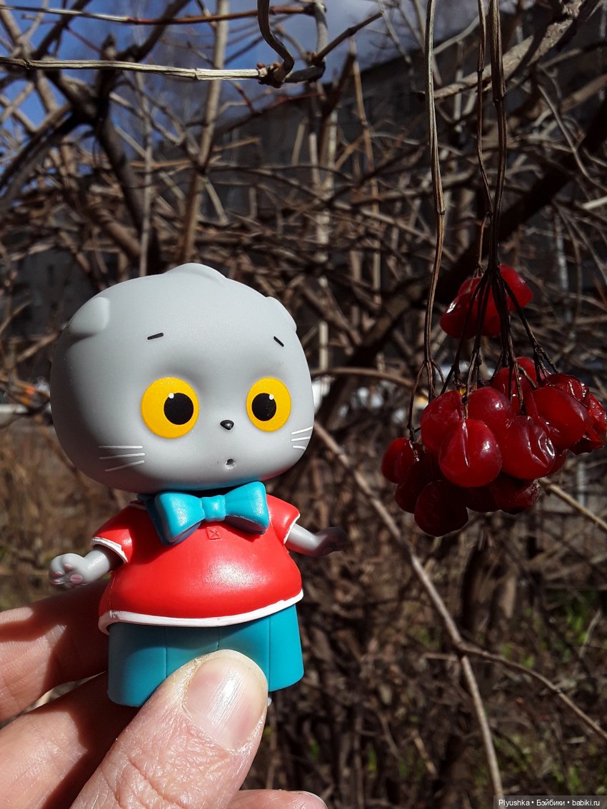 Басик и весна — Кот Басик (фото 10)