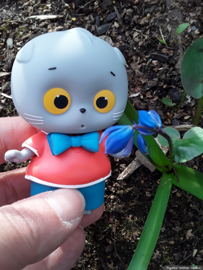 Басик и весна — Кот Басик (фото 6)