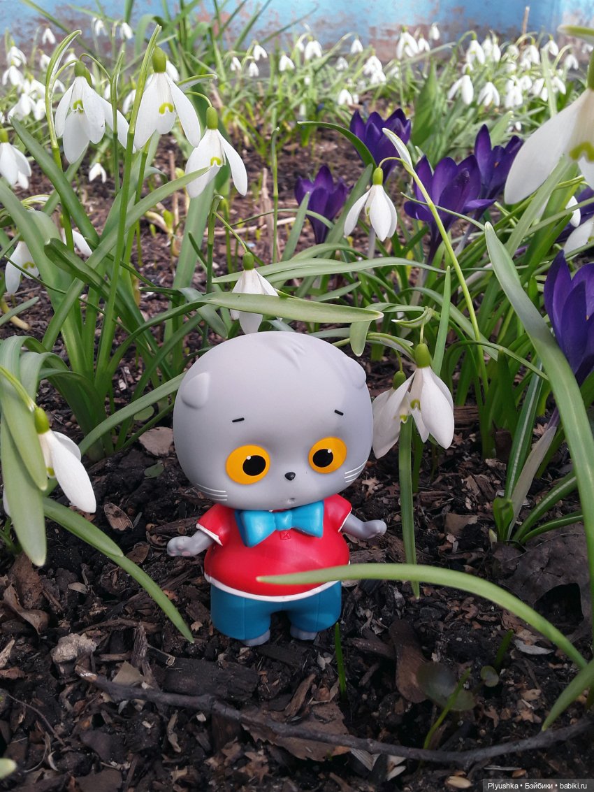 Басик и весна — Кот Басик (фото 8)