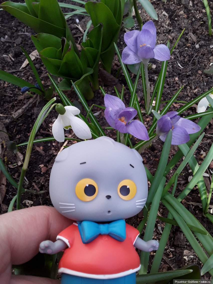 Басик и весна — Кот Басик (фото 7)