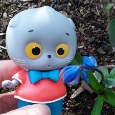 Басик и весна