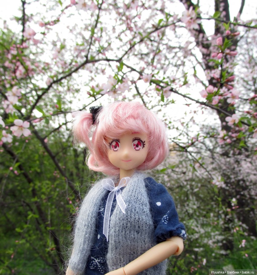 Цветение сакуры для Касуми. Часть 1. Много разных цветов