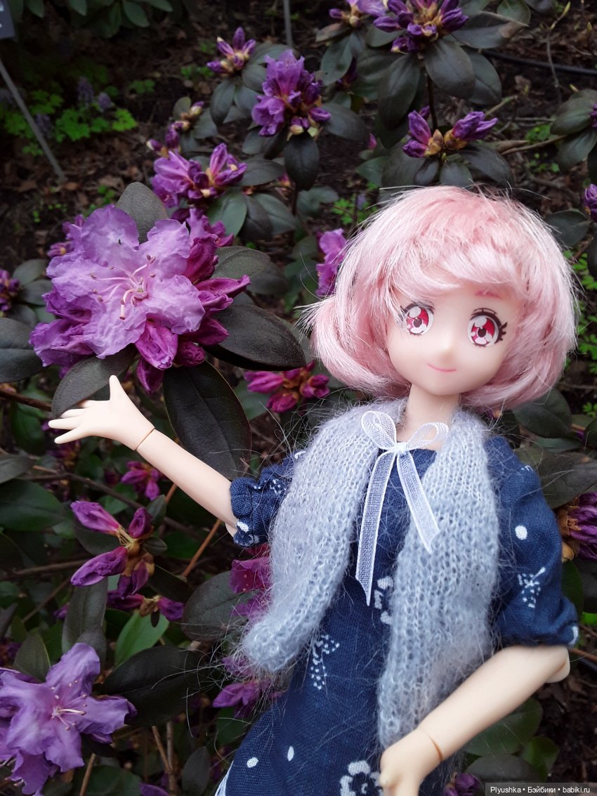 Цветение сакуры для Касуми. Часть 1. Много разных цветов (фото 5)