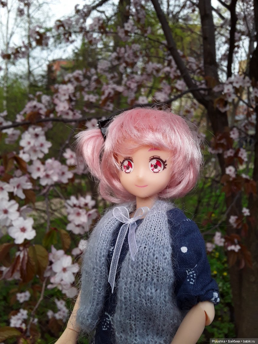 Цветение сакуры для Касуми. Часть 1. Много разных цветов