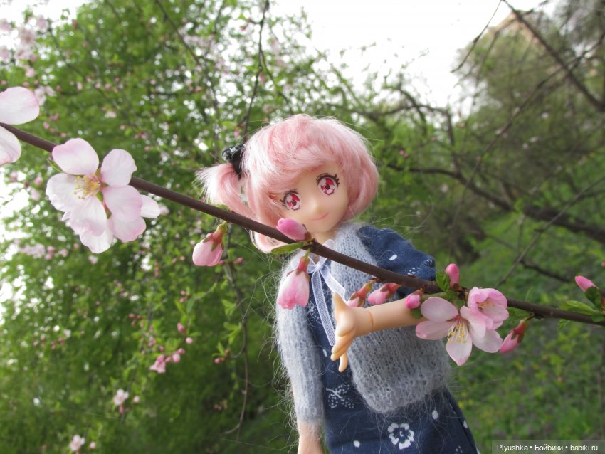 Цветение сакуры для Касуми. Часть 1. Много разных цветов