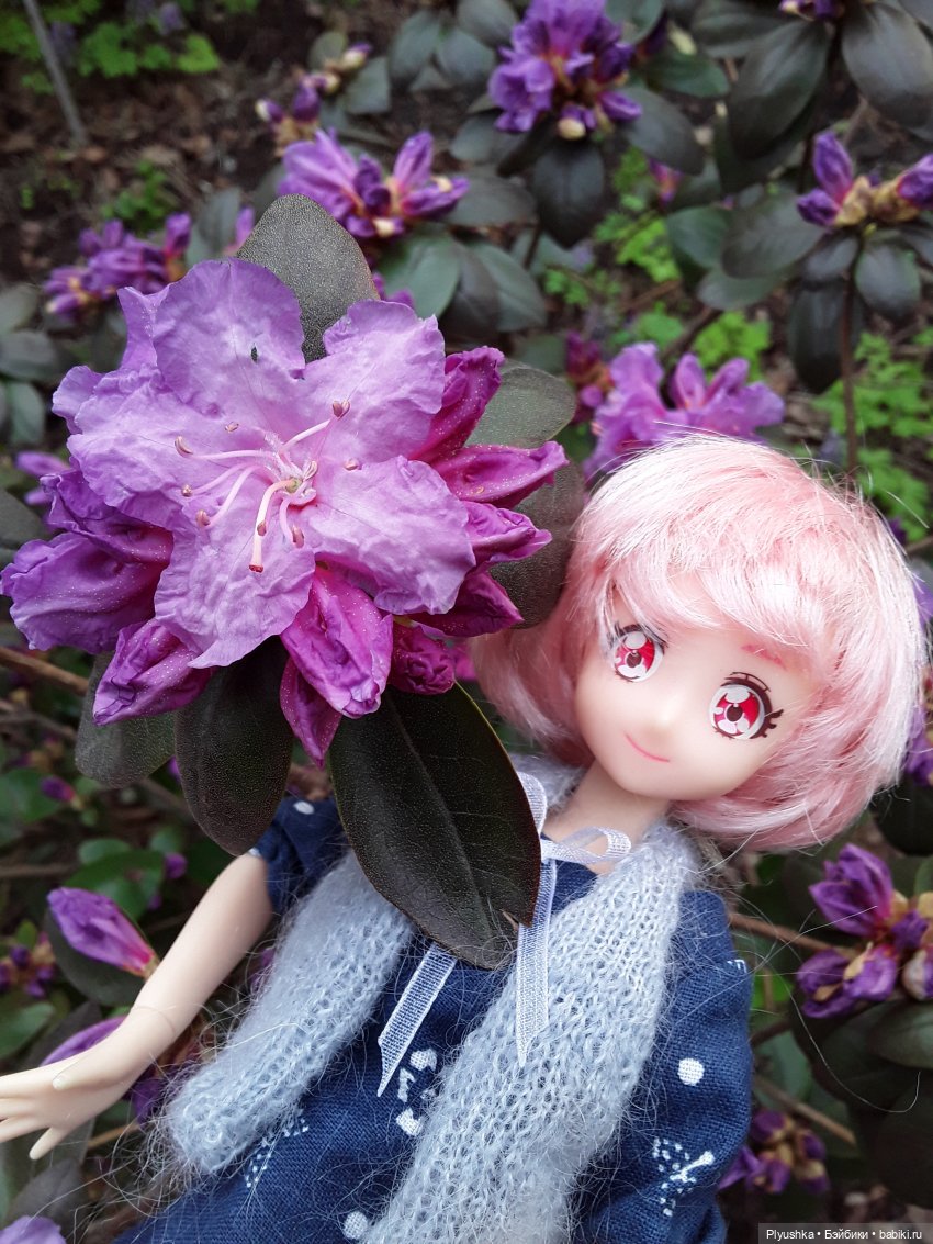 Цветение сакуры для Касуми. Часть 1. Много разных цветов (фото 4)