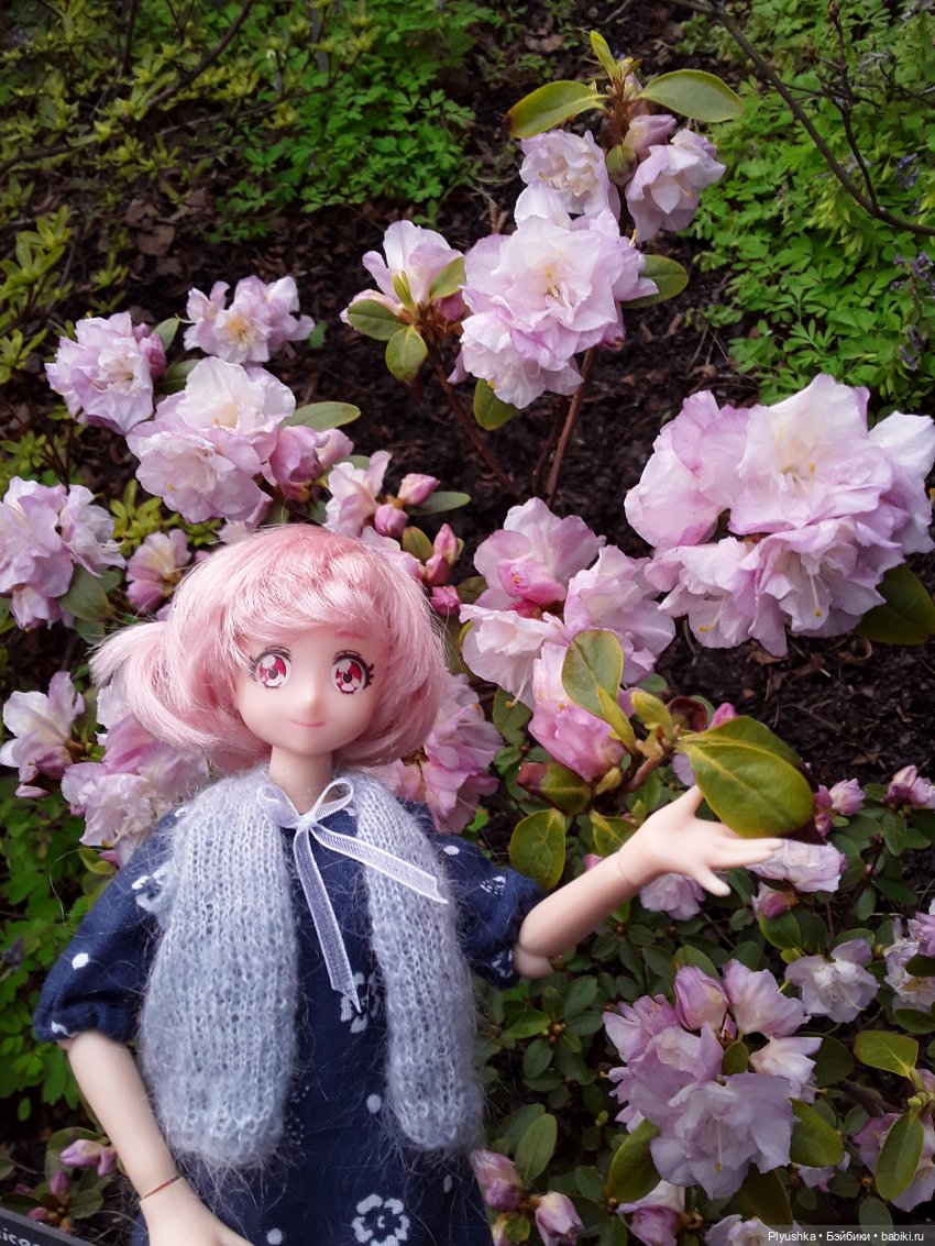 Цветение сакуры для Касуми. Часть 1. Много разных цветов (фото 6)