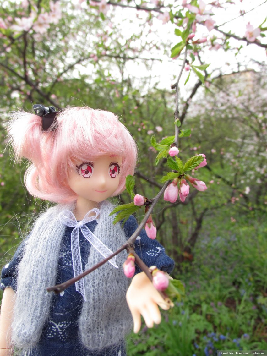 Цветение сакуры для Касуми. Часть 1. Много разных цветов (фото 10)