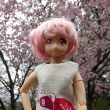 Цветение сакуры для Касуми. Часть 2. Ханами