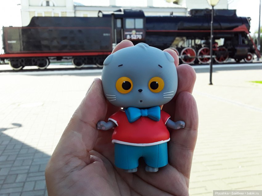 Большое путешествие маленького Басика (фото 5)