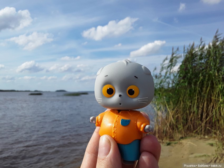 Большое путешествие маленького Басика