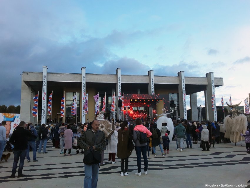 Дождливый День Города и Лис Люк (фото 5)