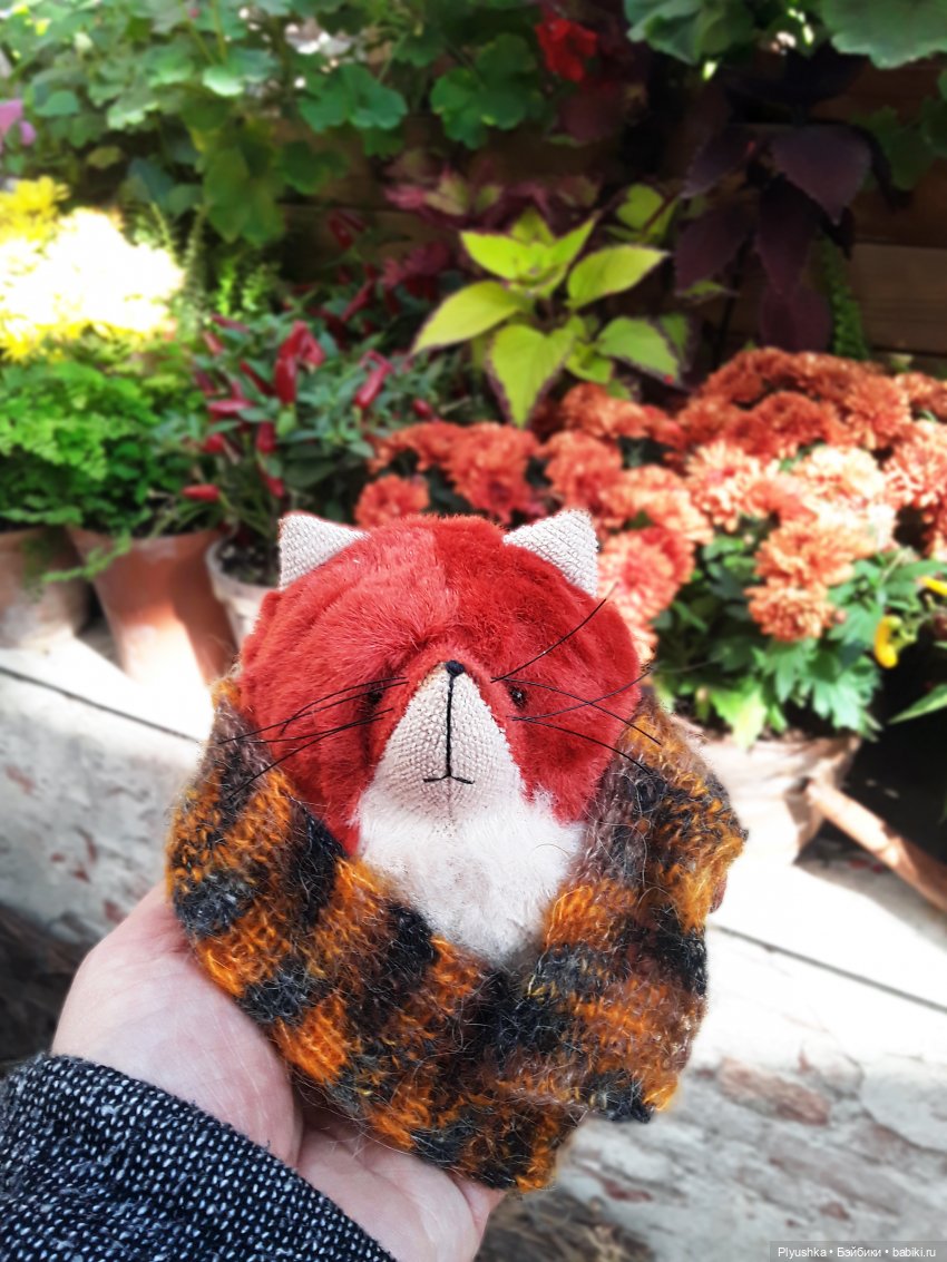 Краски осени и Мистер Лис (фото 5)