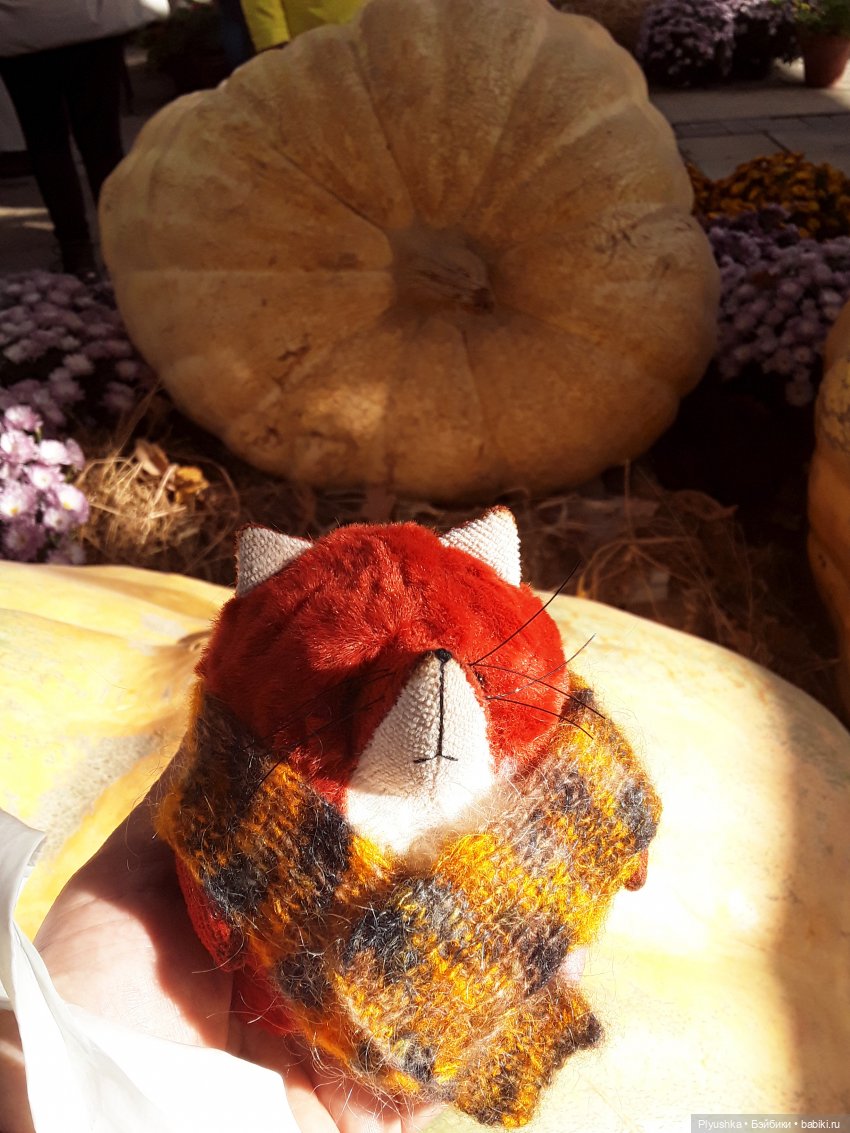 Краски осени и Мистер Лис