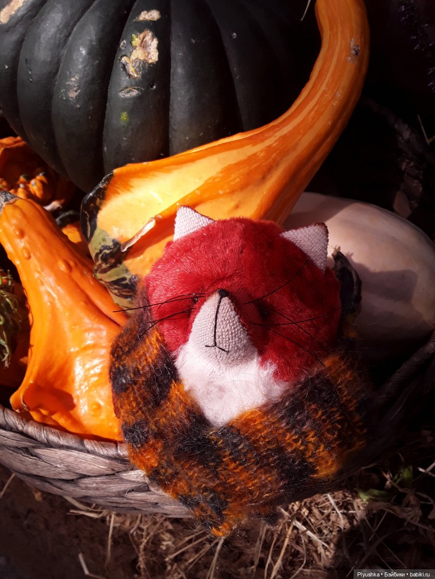 Краски осени и Мистер Лис (фото 4)