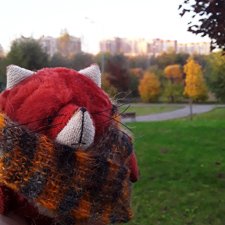 Краски осени и Мистер Лис