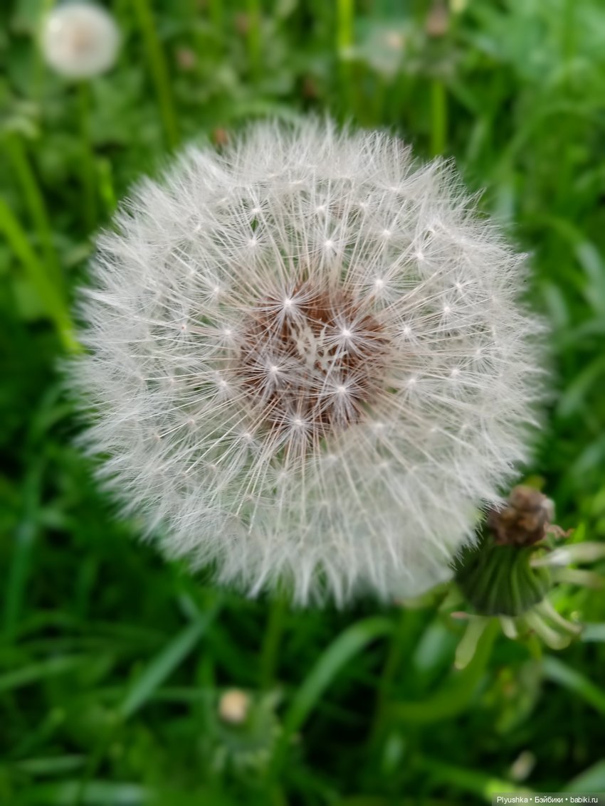 Булочка гуляет — Куклы Nines d'Onil (Нинес): Миа (Mia) (фото 3)