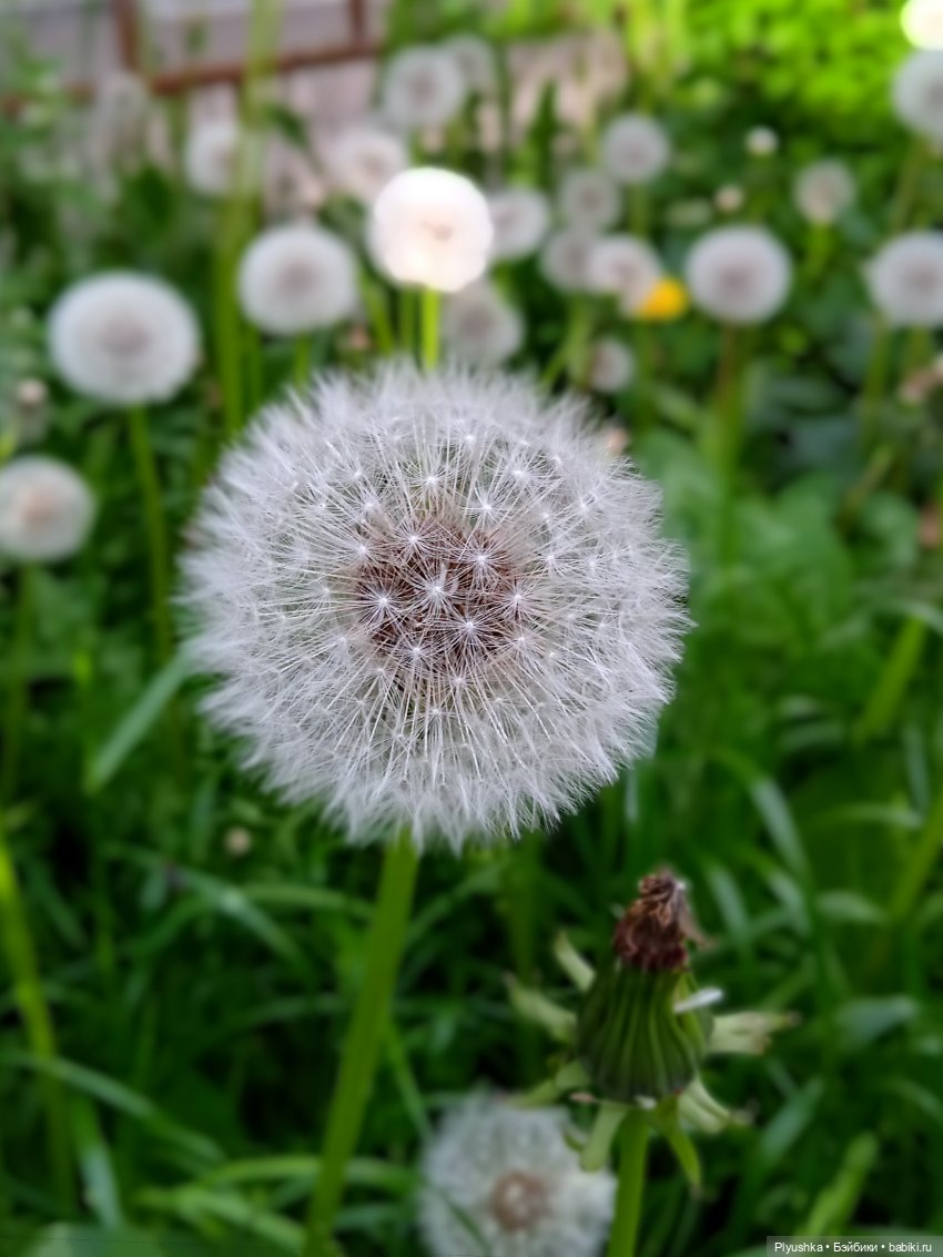 Булочка гуляет — Куклы Nines d'Onil (Нинес): Миа (Mia) (фото 5)