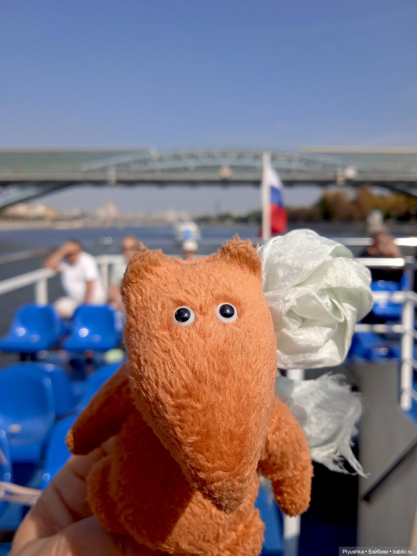 Прогулка на теплоходе по центру. Лис Люк (фото 3)