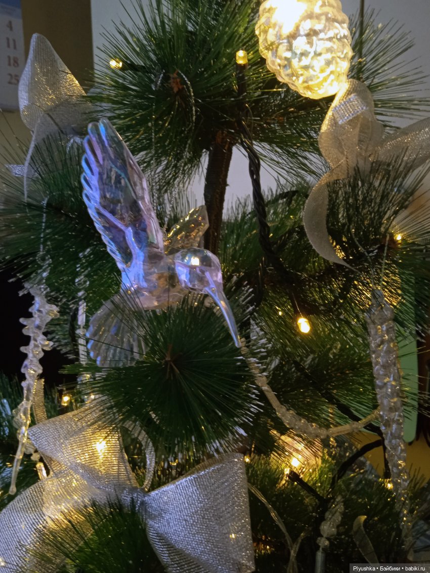 Из жизни Мий. Про фотоконкурс (фото 6)