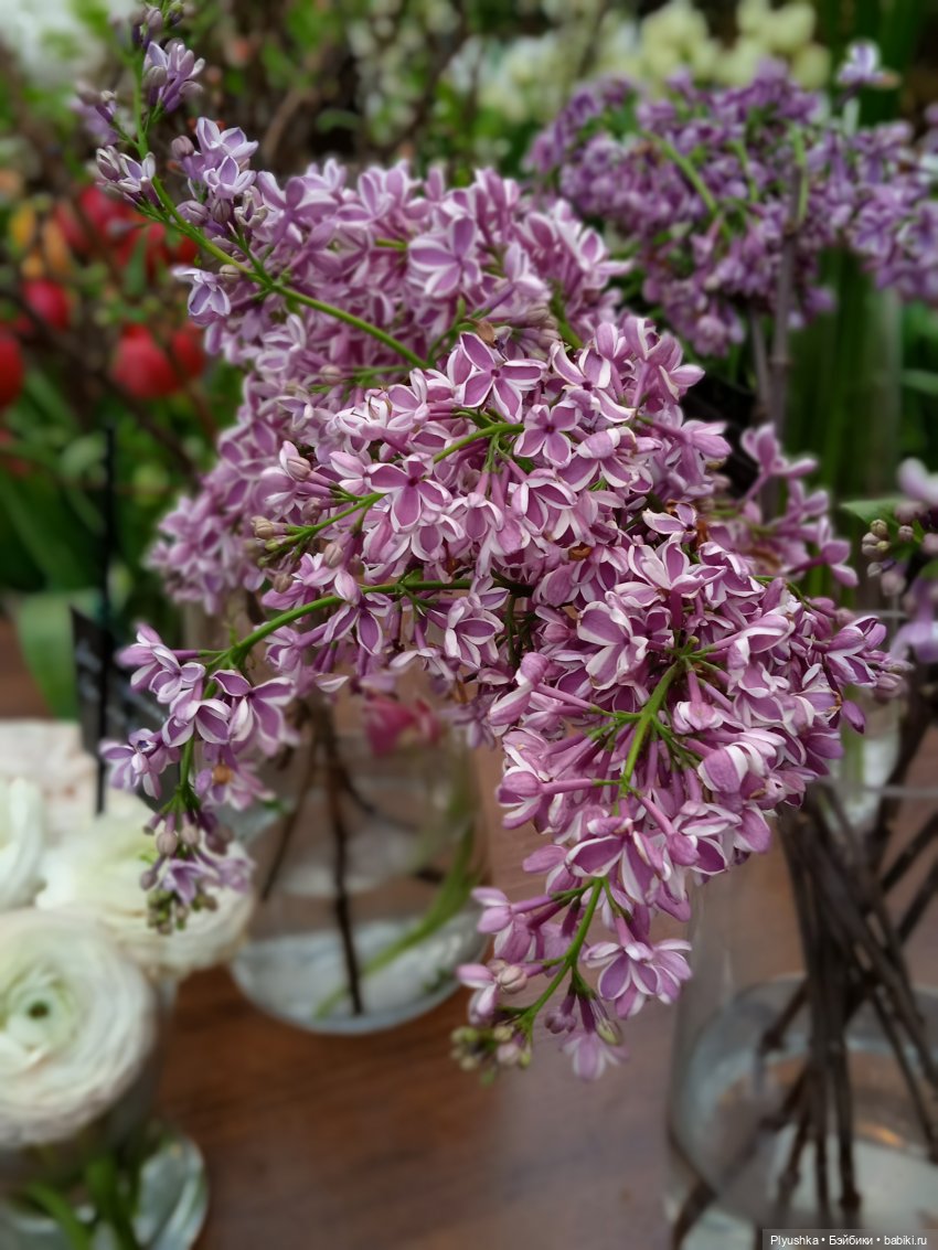 Репетиция весны с Асей — Российские куклы Весна