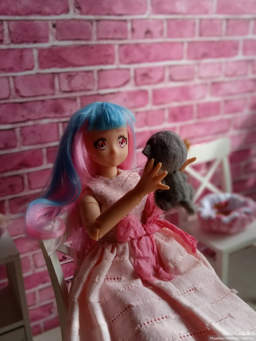 Касуми и её новый питомец