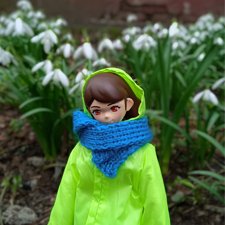 Шарлин в стране цветов