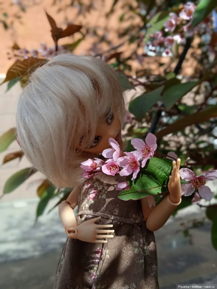 Вайнона - фея цветов — Домашние фото авторских кукол: личные коллекции (фото 6)