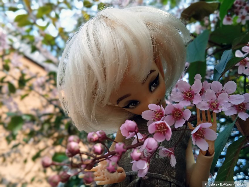 Вайнона - фея цветов — Домашние фото авторских кукол: личные коллекции (фото 8)