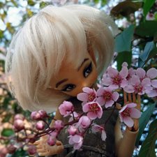 Вайнона - фея цветов