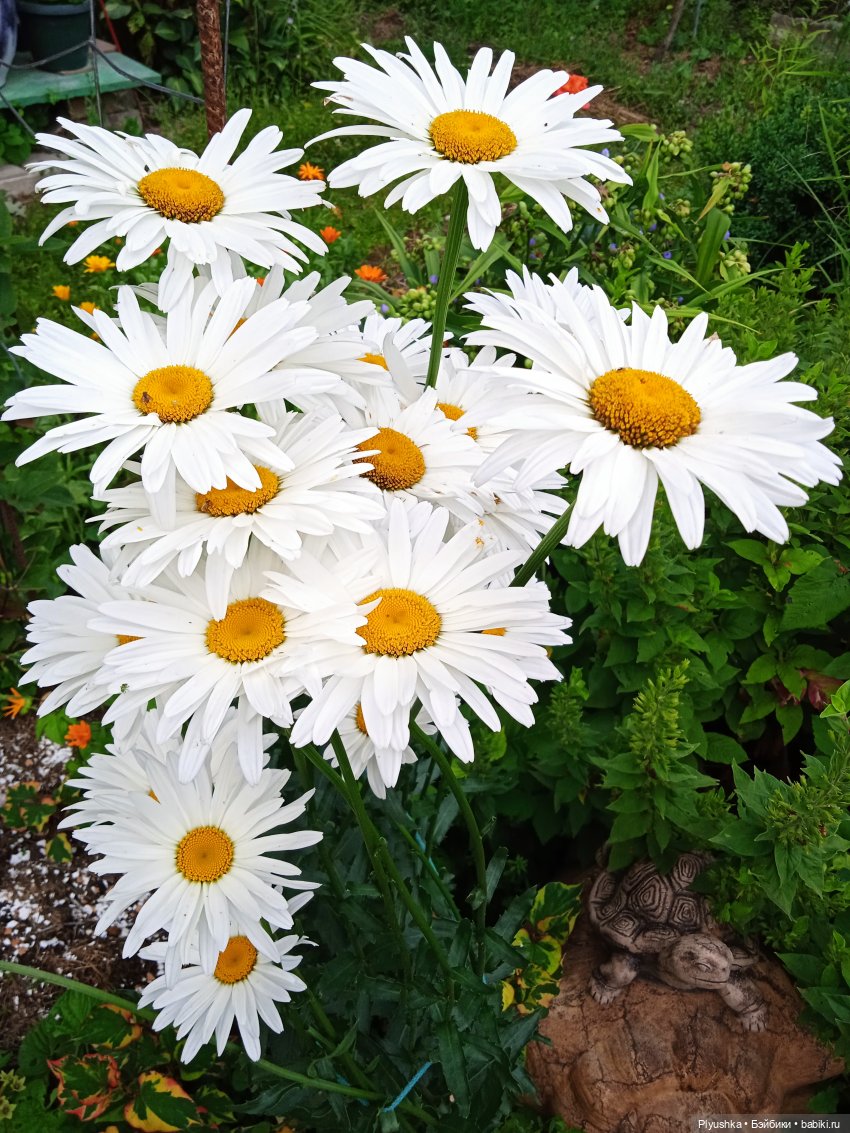 Летняя сборная солянка. Куклы, фигурки, цветы