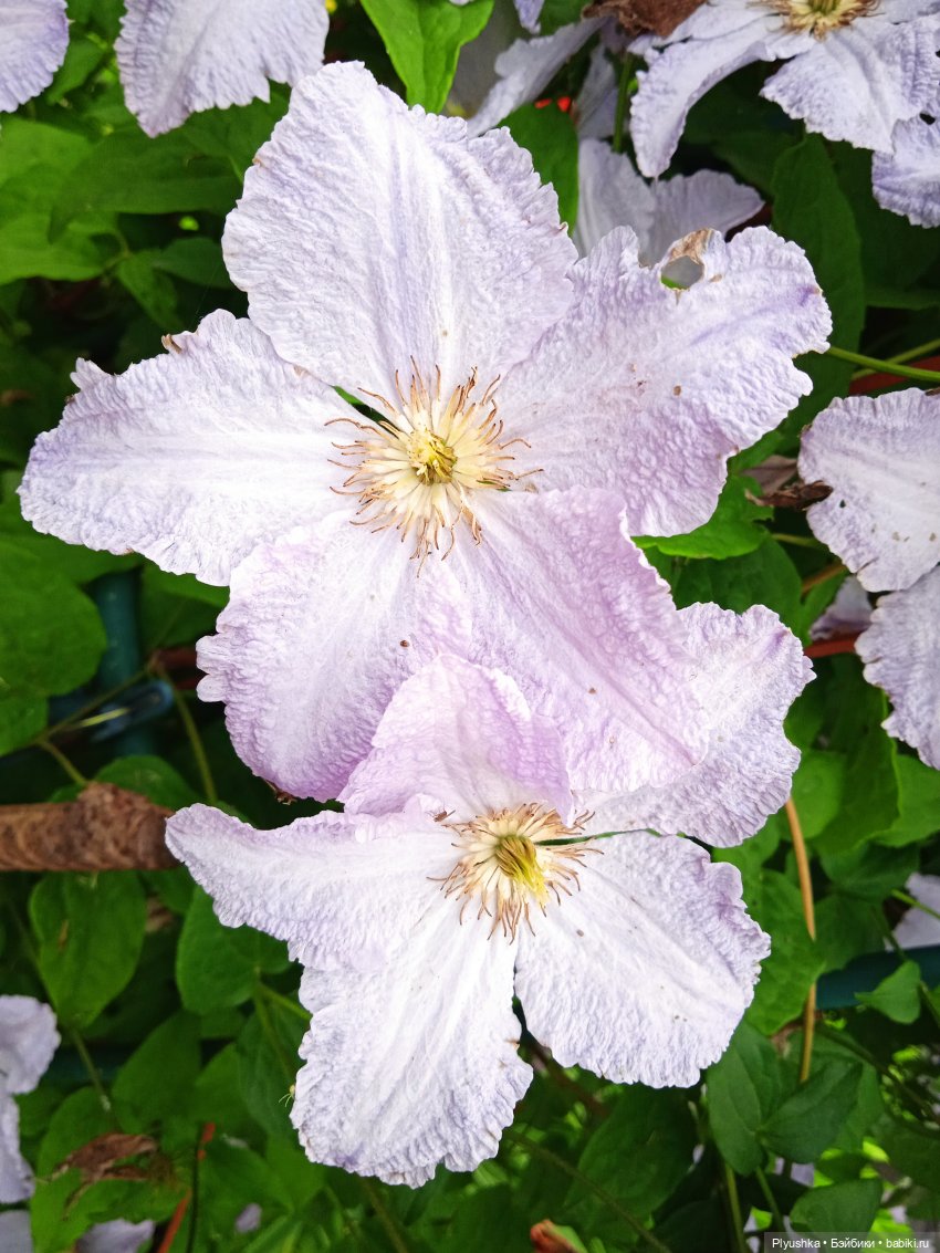 Летняя сборная солянка. Куклы, фигурки, цветы (фото 7)