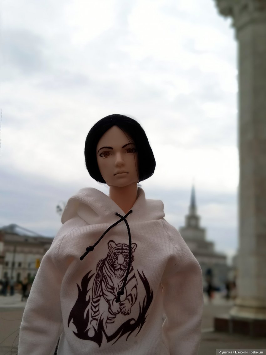 А я иду, шагаю по Москве — Разные шарнирные куклы (не БЖД): редкие (фото 6)