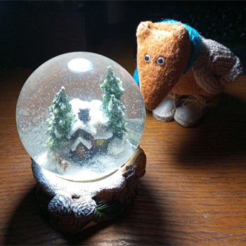 Внезапная ночная фотосессия