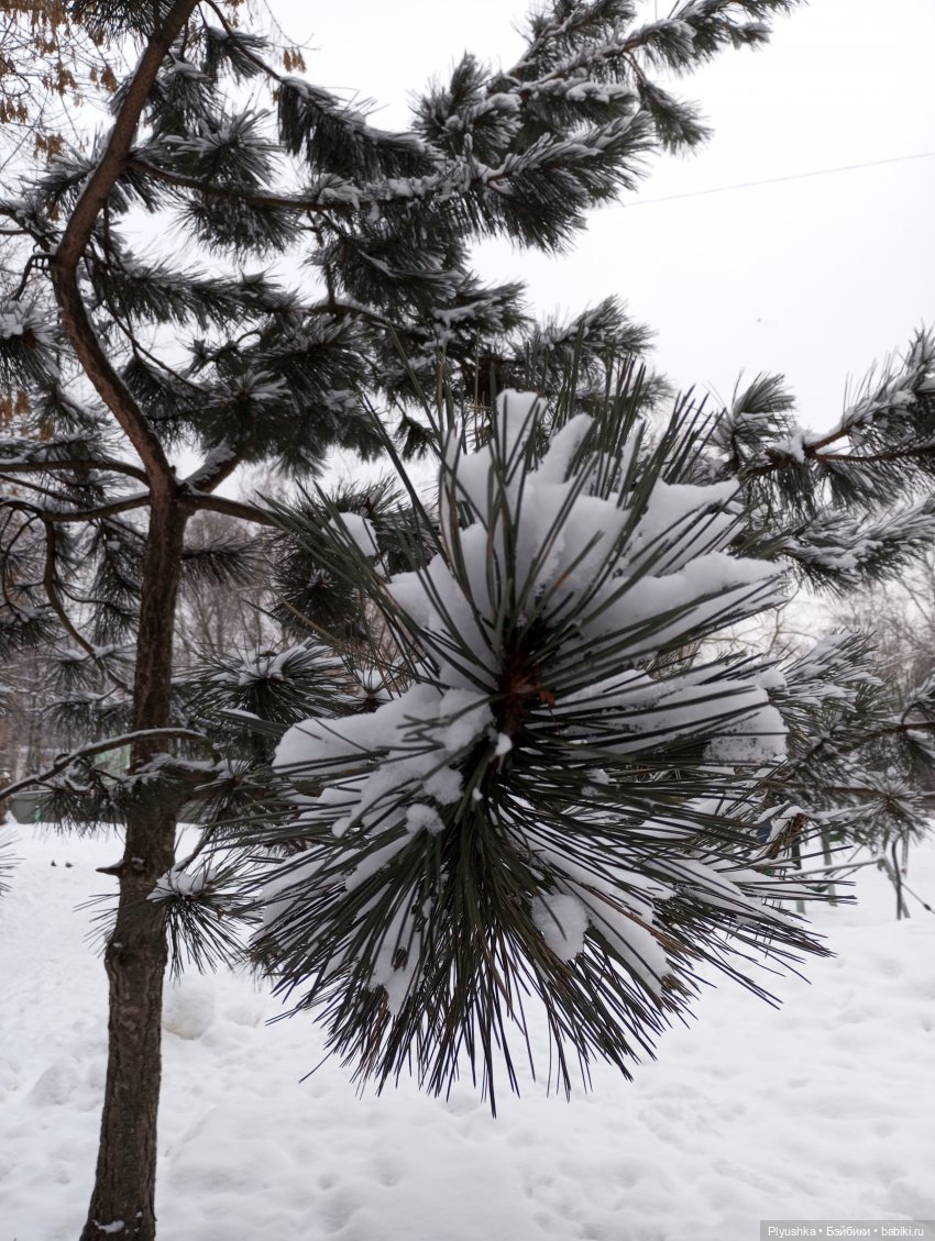 Вера - новенькая ♡ Кукла фабрики Весна молд Ася (фото 5)