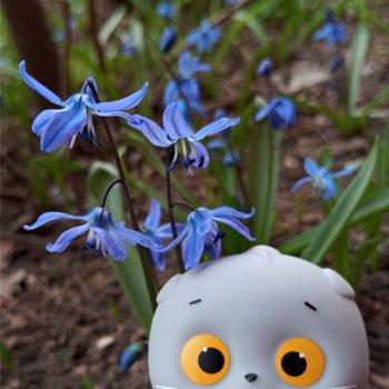 Весна мини Басика