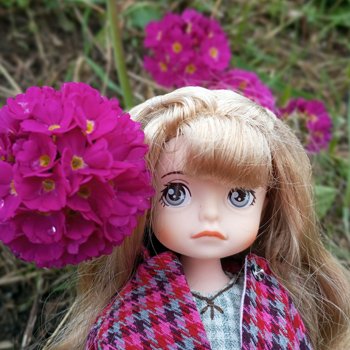 Эльфа и цветы