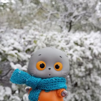 Майский снегопад