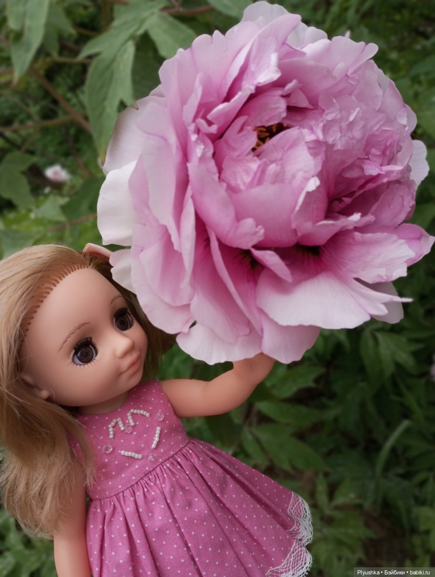 Вера и выставка рододендронов в Аптекарском огороде (фото 6)