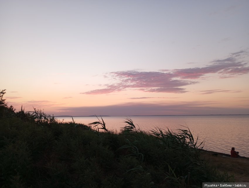 Южное путешествие Камелии (фото 9)