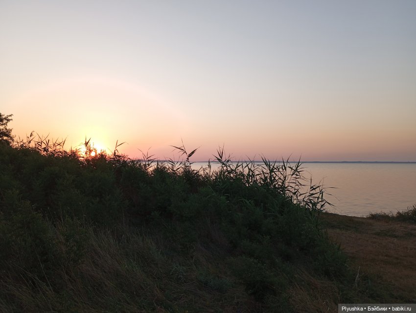 Южное путешествие Камелии (фото 3)